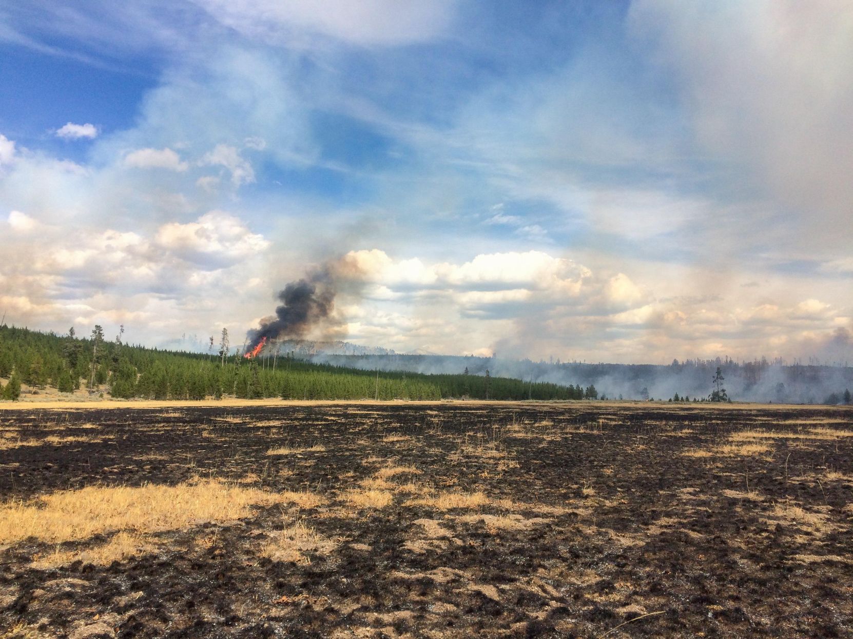 2016 Maple fire in Yellowstone National Park